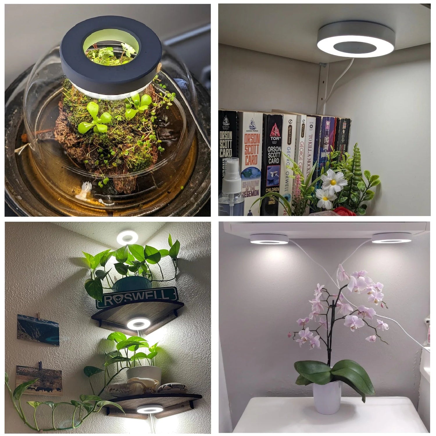 Roofmount Plant Lights