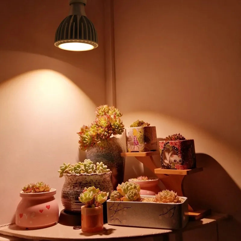 Plant Lights - Lightbulbs