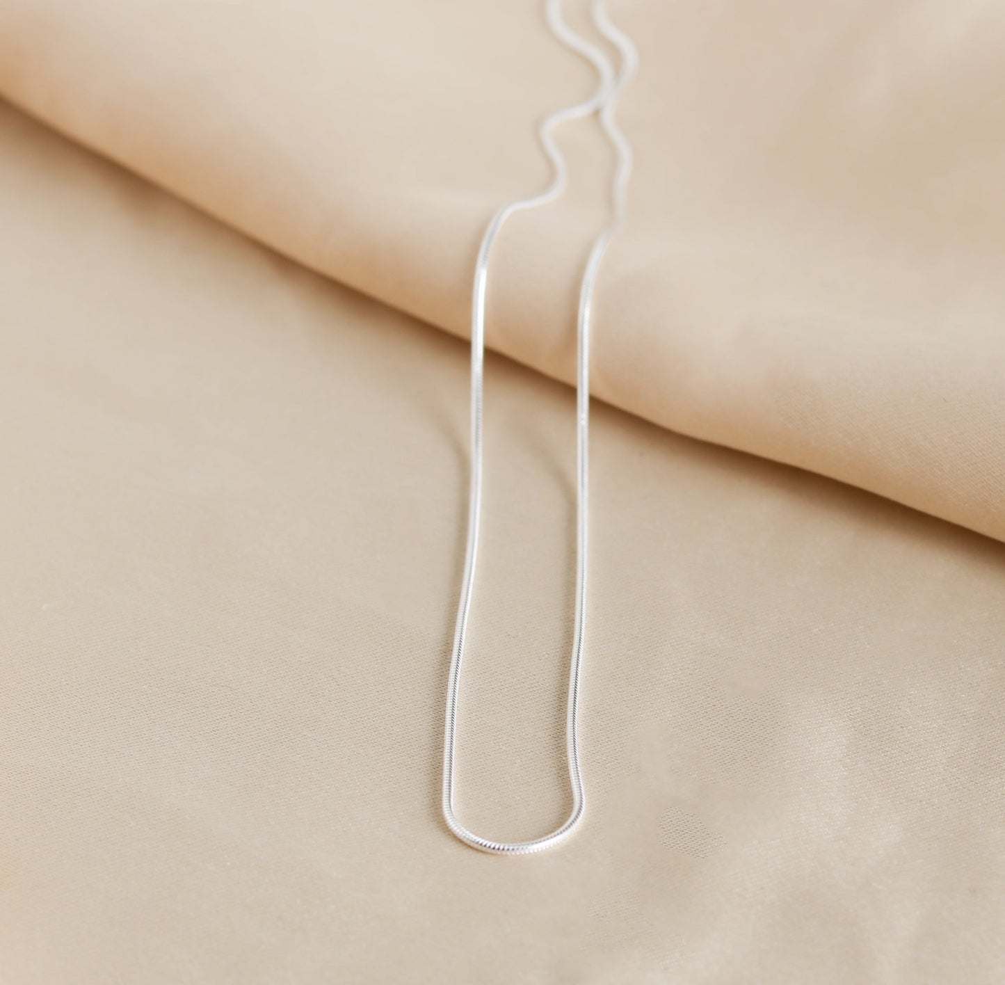Silver Chain-4