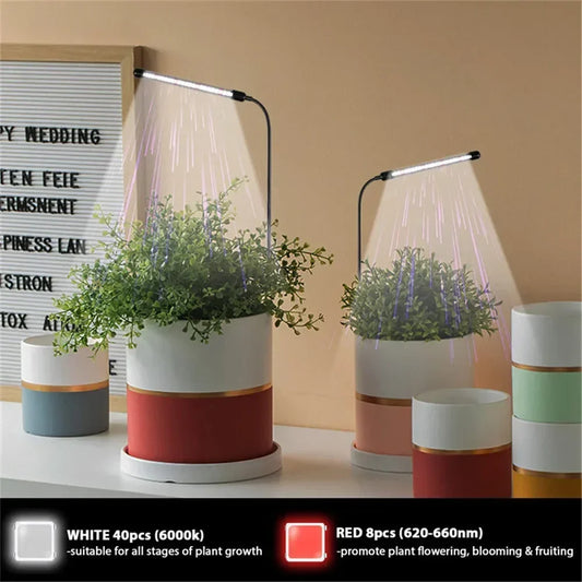Compact full spectrum LED Plant light Lamp T20—perfect for hydroponic veggies and succulents; shown in front packet view. plant light lamp, full spectrum LED, hydroponic light, succulent plant light, indoor plant lighting.