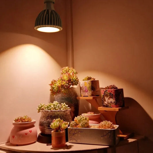 Full‑spectrum E27/E14 LED plant light bulb—perfect for hydroponics, seedlings, and flowering plants; shown in front packet view. E27 plant light, full spectrum plant light bulb, hydroponic light, indoor plant lighting, LED plant light bulb.