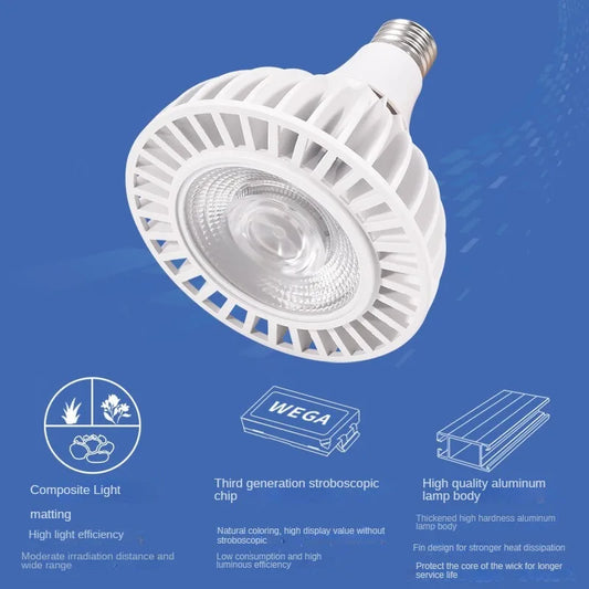 E27 full spectrum LED plant light bulb—perfect for succulents, seedlings, and bonsai growth in any indoor gardening setup; shown in front packet view.  E27 plant light, full spectrum plant bulb, LED phyto lamp, indoor plant lighting, succulent plant light.