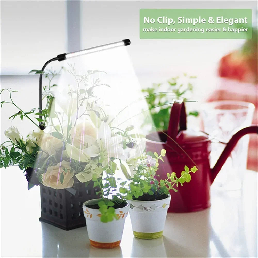 Grow Light Phytolamp for Plants Full Spectrum Dimmable 4/8/12H Timer Fitolamp Lights Home Flower Seedling Clip Phyto Lamp